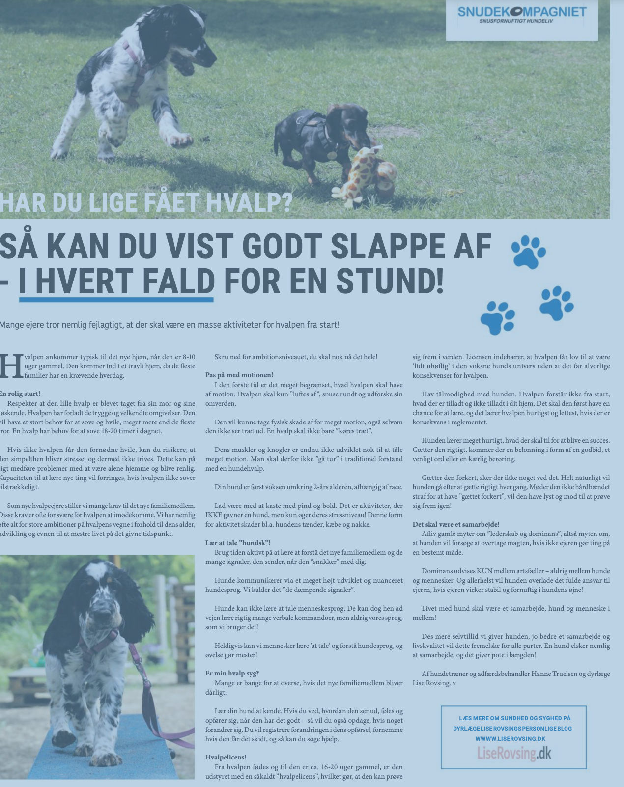 reaktion gas øverst Hundehvalpen Arkiv - LiseRovsing.dk